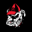 Georgia Bulldogs